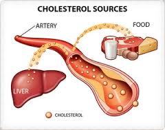 Obat Herbal Penurun Kolesterol Tinggi